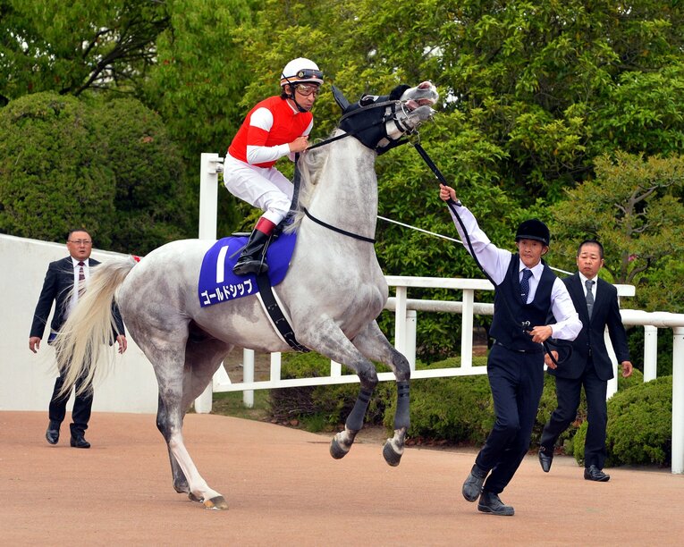 馬場入りで暴れるゴールドシップ　©Sankei Shinbun