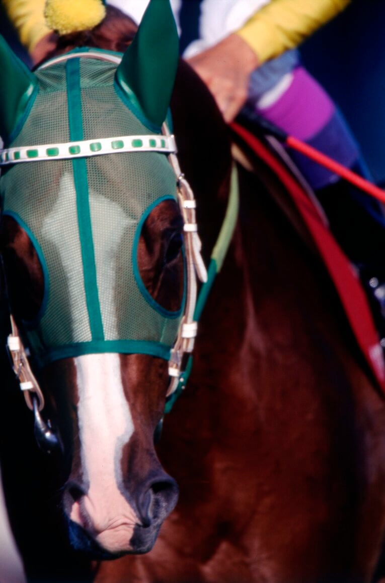 98年毎日王冠のサイレンススズカ　(C)Bungeishunju