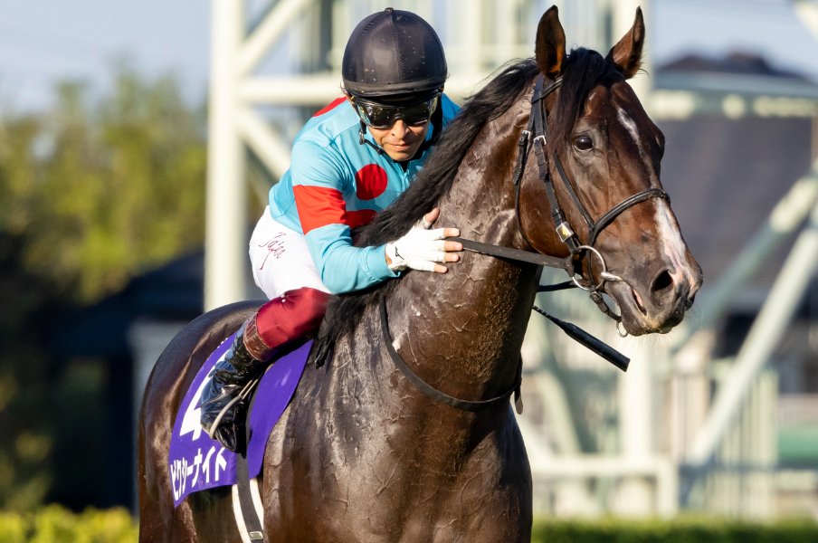 2頭が安楽死、福永祐一は鎖骨骨折…香港スプリントの“落馬事故”はなぜ起きたのか? “わずか1秒半”の悲劇で、避けるのは不可能<Number Web> photograph by Photostud