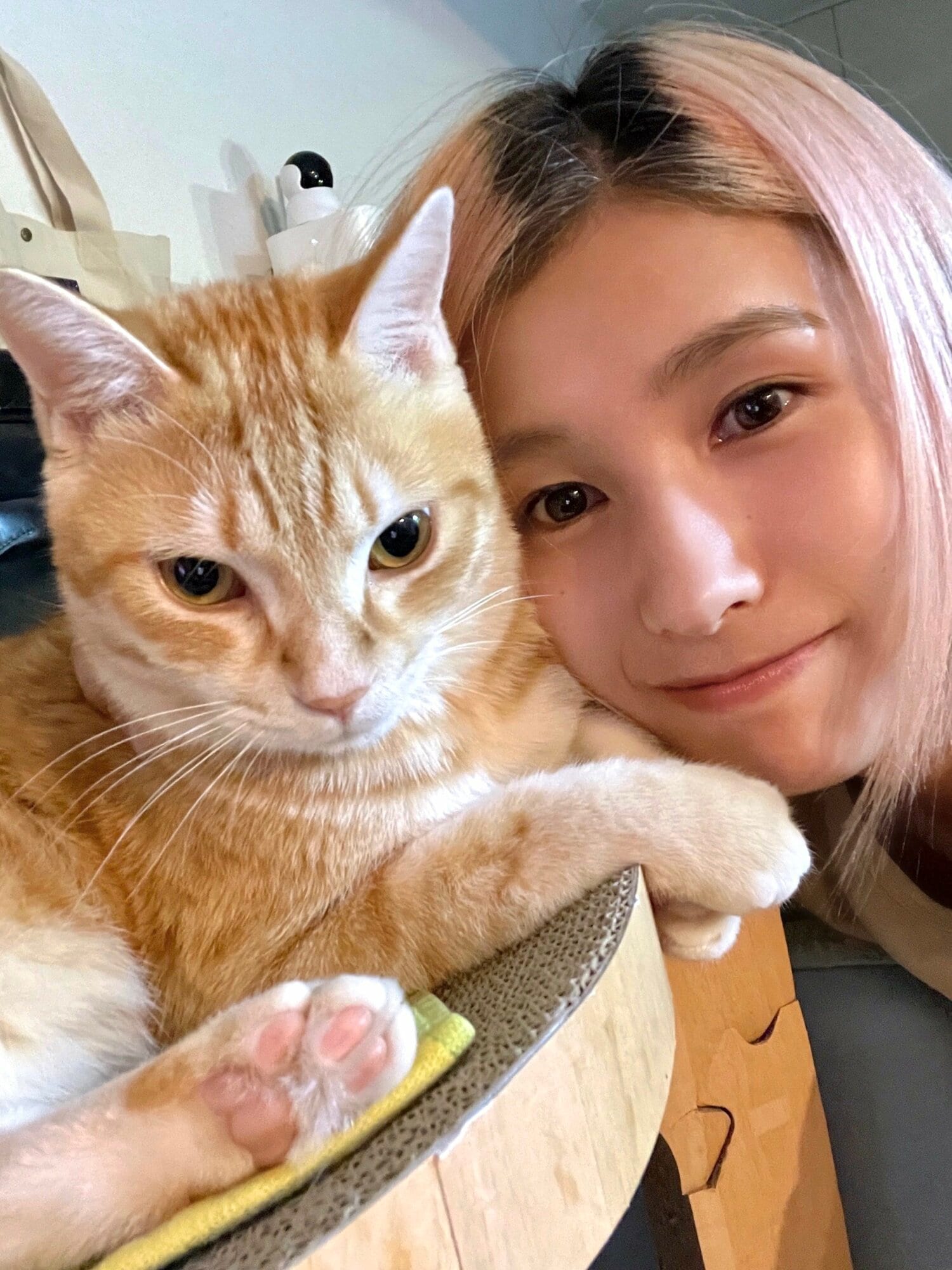 現在は3匹の猫とともに暮らしている。写真は加藤が地元で保護し家族となったサン君と　©本人提供