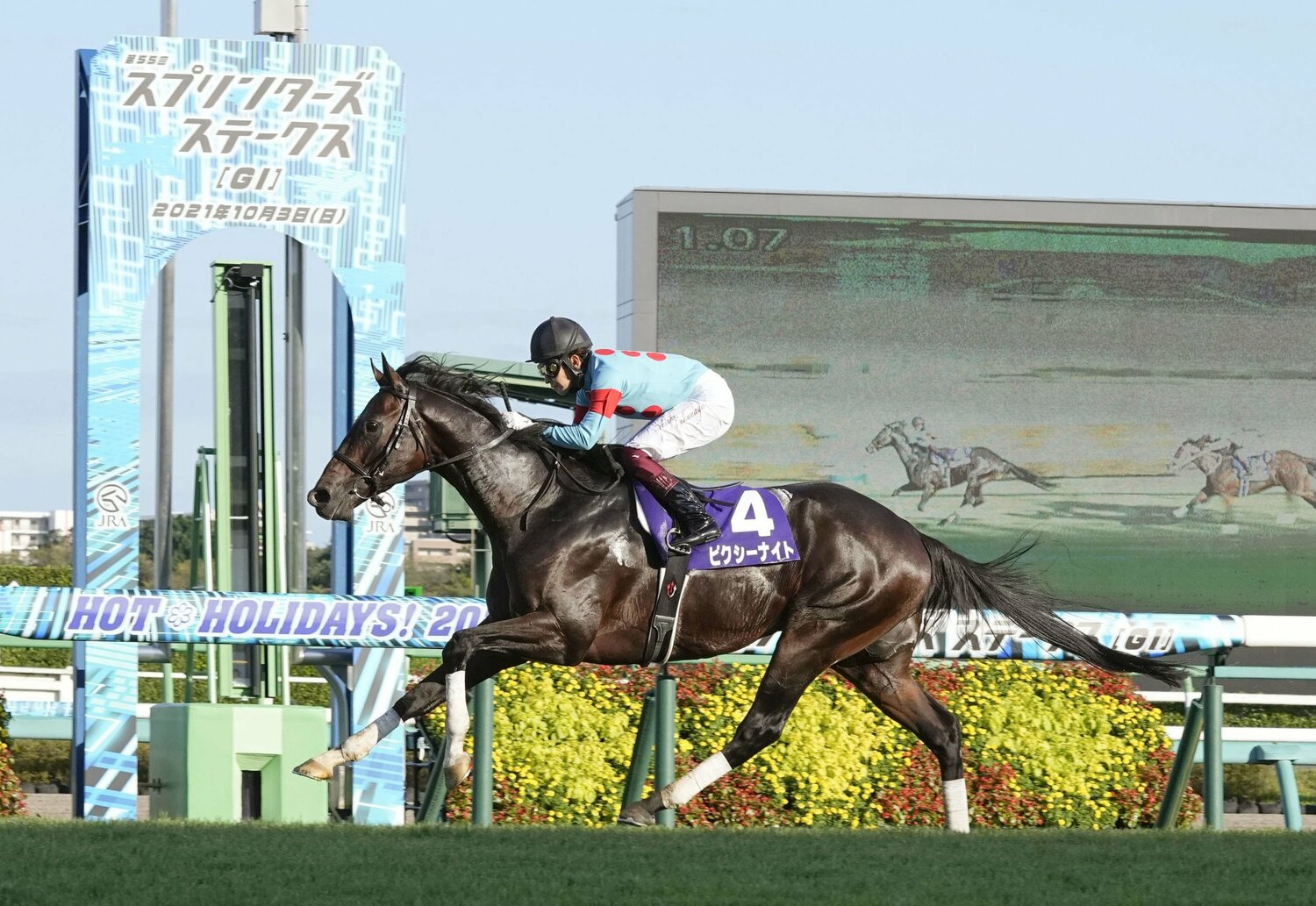 母の父にキングヘイローを持つピクシーナイトでスプリンターズステークスに優勝 ©KYODO