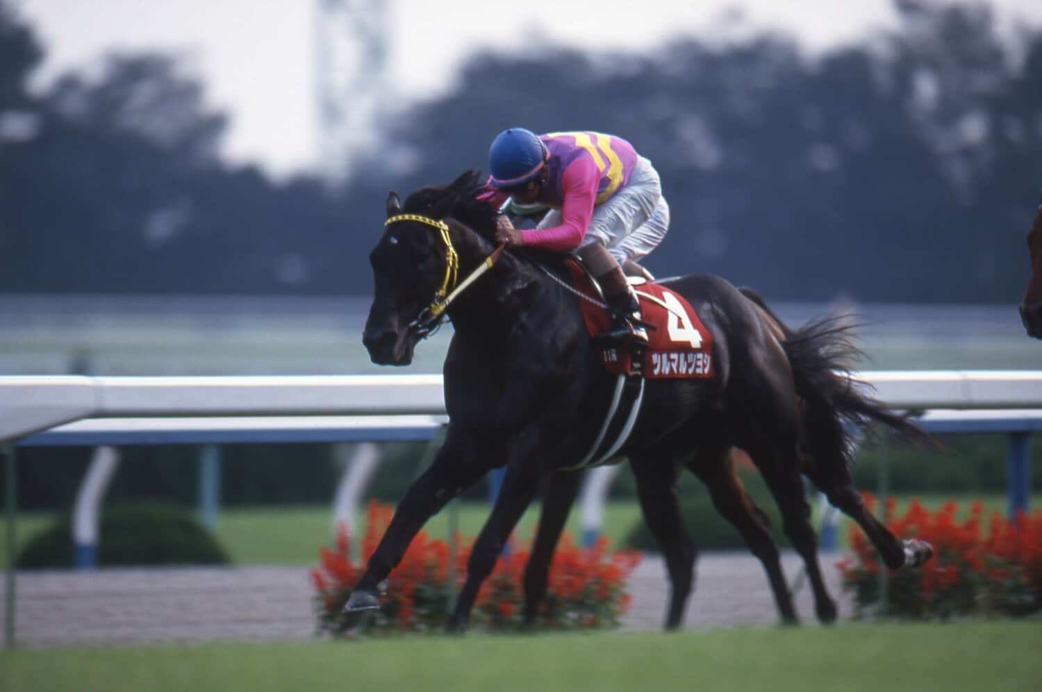 ツルマルツヨシ（1999年京都大賞典）　©Keiji Ishikawa