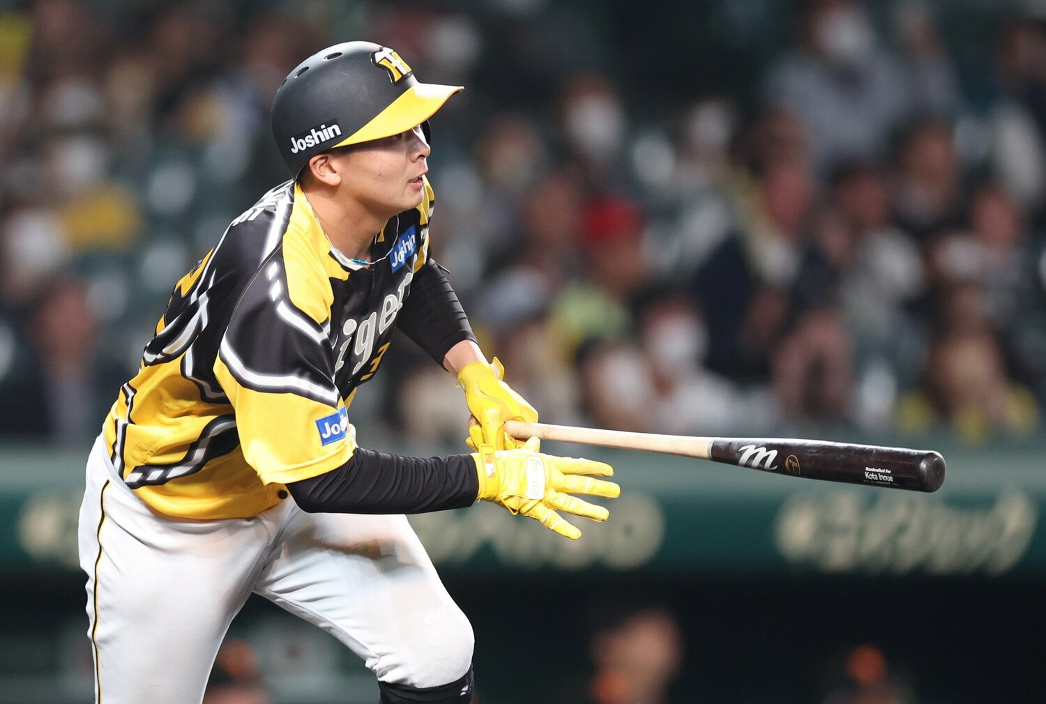 タイガース時代の井上（2023年）　©JIJI PRESS