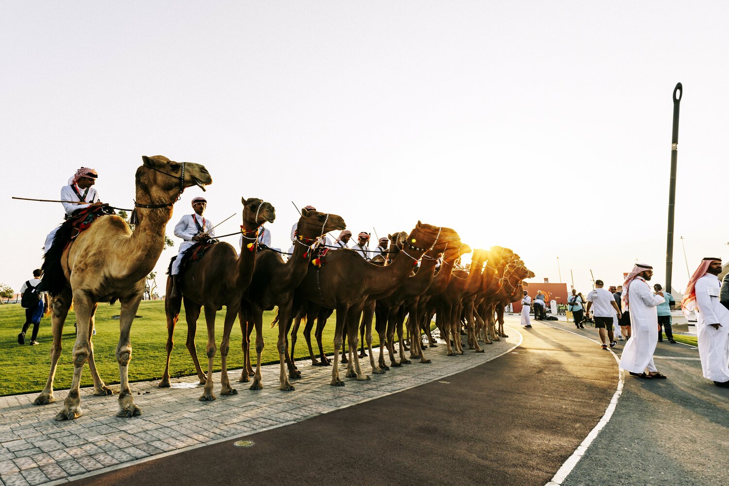 スタジアム周辺に集結したラクダの精鋭 ©Kiichi Matsumoto/JMPA