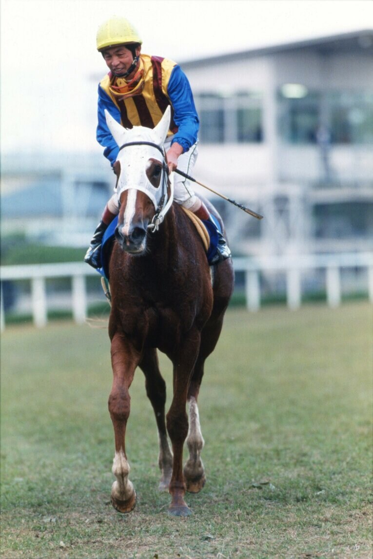 ユキノビジン（1993年エリザベス女王杯）　©Keiji Ishikawa