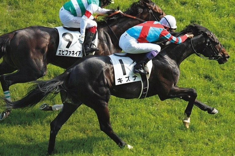 上がり3F33.5秒の豪脚でエピファネイアを差し切り、第80代ダービー馬となったキズナ ／ photograph by Photostud