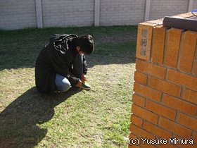 生きて目覚めた喜びを噛みしめつつ、庭で一服