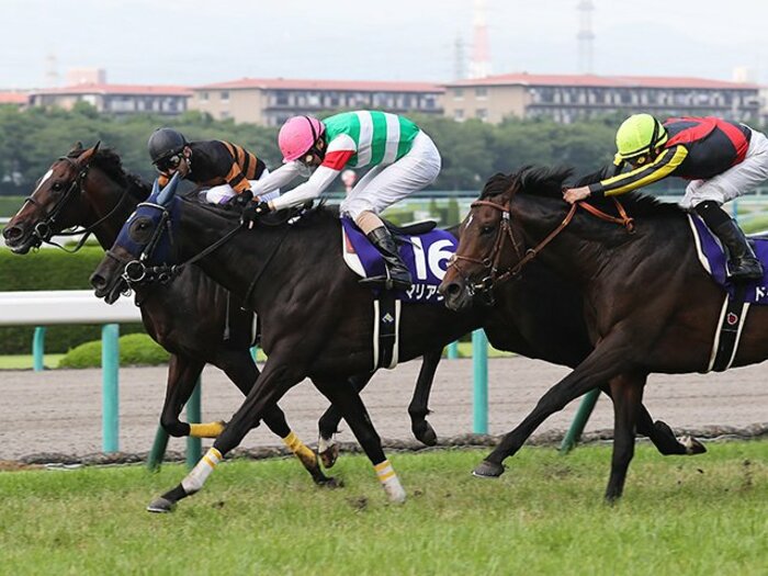 宝塚記念でマリアライトが完全開花。大事に、我慢で育てられた新女王。＜Number Web＞ photograph by Yuji Takahashi