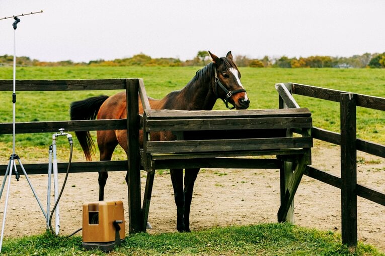 グランドリビエール　©Kiichi Matsumoto