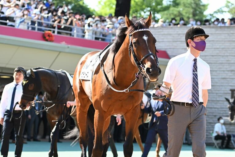 武豊「ディープインパクトはダートでも強かったと思う」ディープにダイワスカーレット、2頭の名馬が“走らなかった”幻のフェブラリーS計画(65)