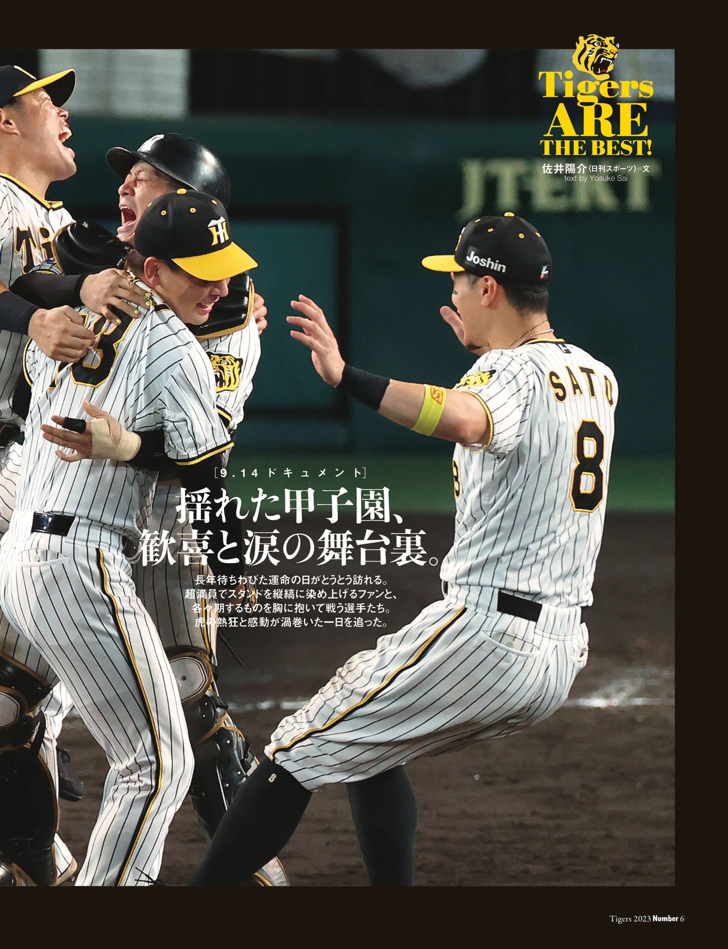 揺れた甲子園、歓喜と涙の舞台裏　9.14ドキュメント