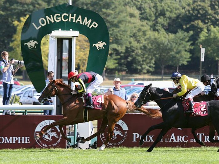 凱旋門賞へ視界良好、充実のオルフェーヴル。~周到な準備で日本馬初制覇を~<Number Web> photograph by KYODO