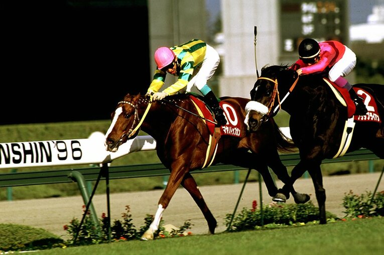 マヤノトップガン（左）、ナリタブライアン ／ photograph by Keiji Ishikawa