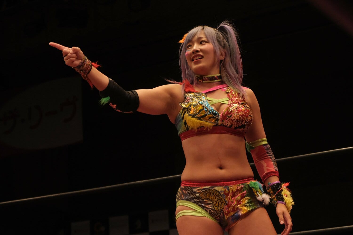 ウナギ・サヤカは“東京ドームでの自主興行”を本気で狙っている