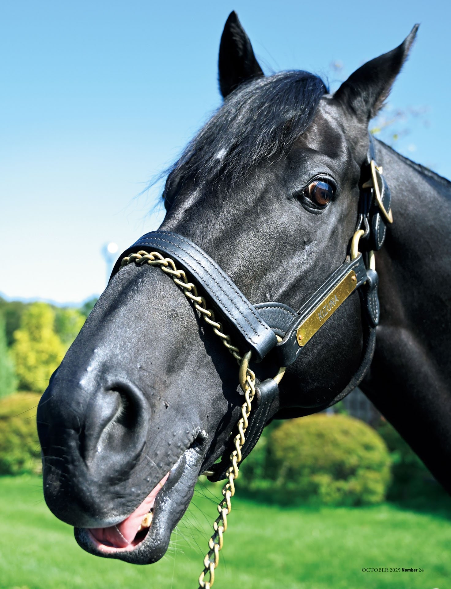 キズナ「父と似て非なるもの」
