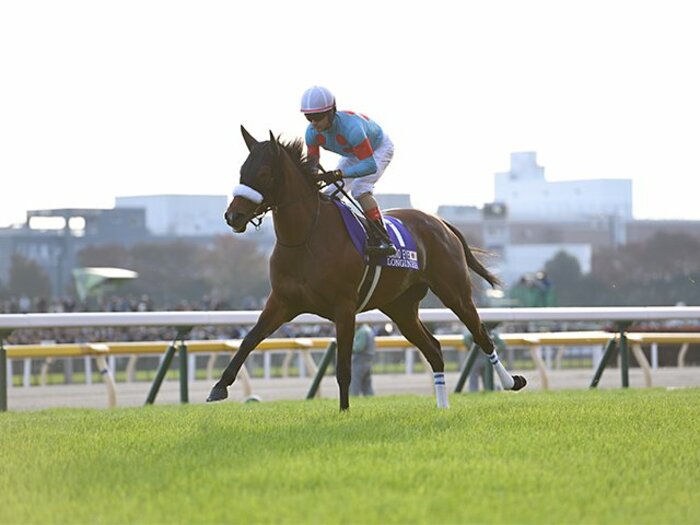 ここ10年、年度代表馬の半分が牝馬。アーモンドアイたちはなぜ現れたか。＜Number Web＞ photograph by Keiji Ishikawa