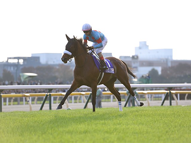 ここ10年、年度代表馬の半分が牝馬。アーモンドアイたちはなぜ現れたか