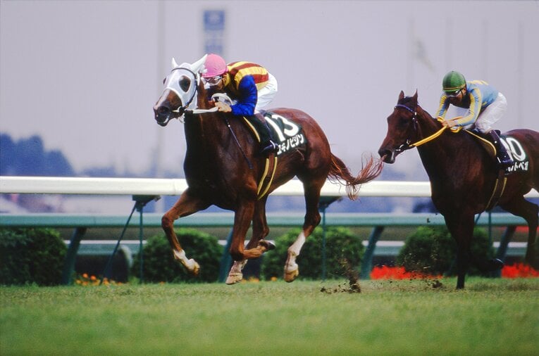 2着ホクトベガをおさえて、1993年クイーンSを制覇したユキノビジン　©Keiji Ishikawa