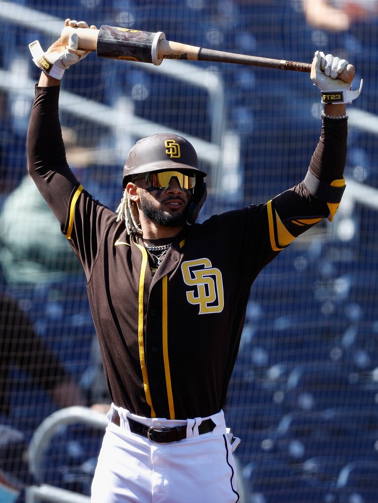 フェルナンド・タティース・Jr　©Getty Images