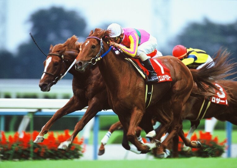 テイエムオペラオー　©BUNGEISHUNJU