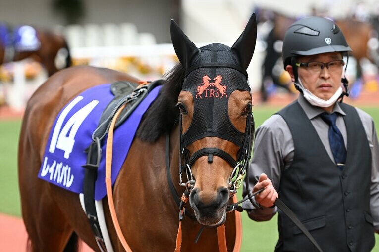 昨年に引き続き好走したレイパパレ　©Keiji Ishikawa