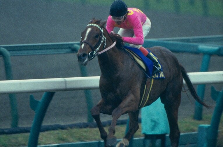 ミホノブルボン ／ photograph by Koji Asakura