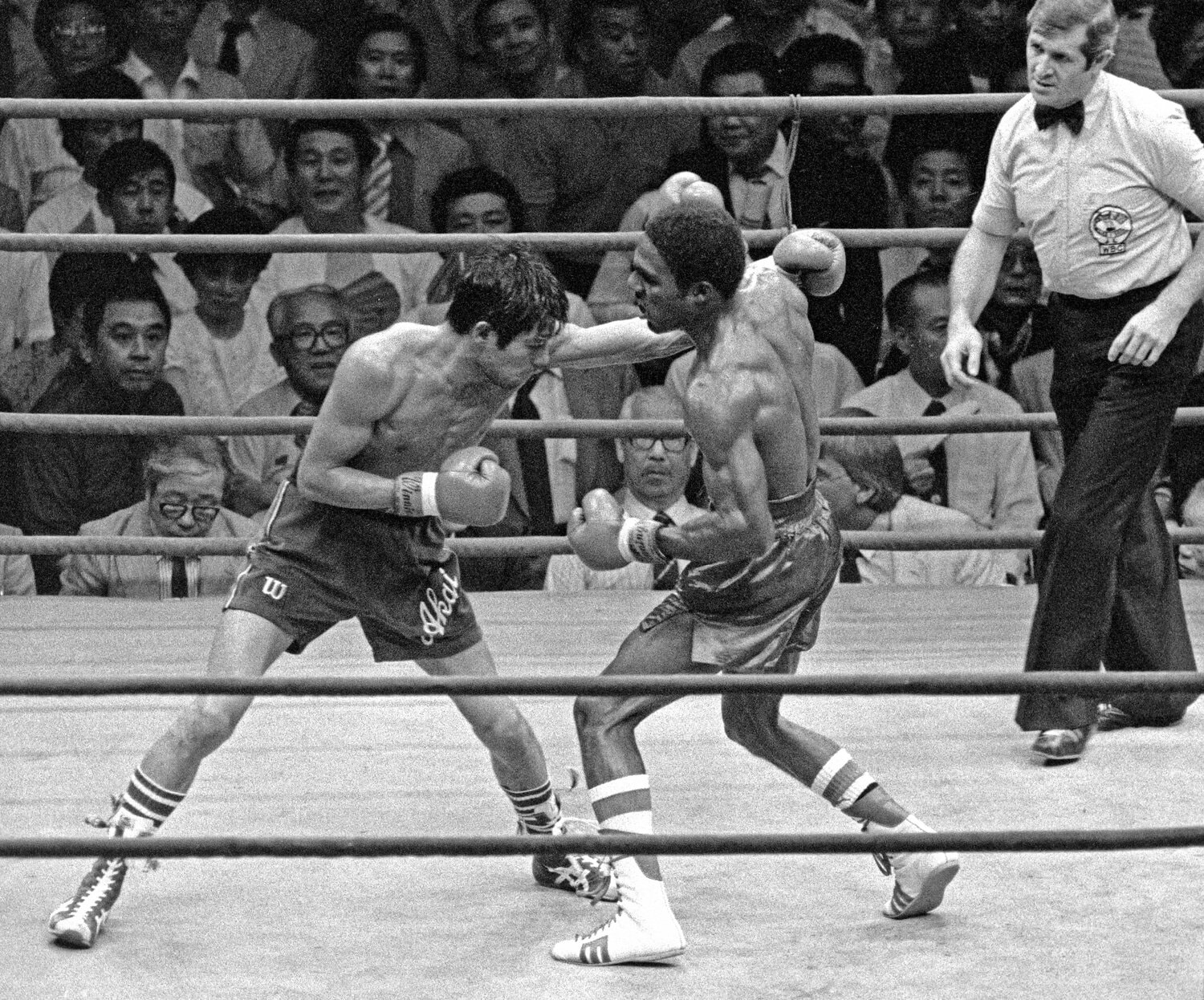 王者ブルース・カリーとの激しい打ち合い ©JIJI PRESS