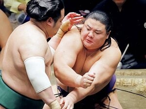 草野「十両連続Vで新入幕確実。型の追究が今後の課題に」
