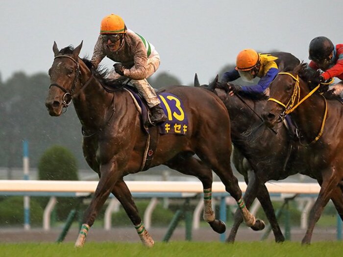 史上最悪レベルの極悪馬場状態。菊花賞でキセキが証明した純粋な力。＜Number Web＞ photograph by Yuji Takahashi