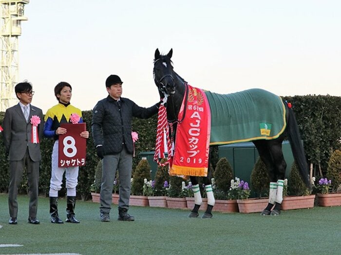 シャケトラと角居調教師、石橋脩。それぞれ逆境を乗り越えた復活劇。＜Number Web＞ photograph by Satoshi Hiramatsu