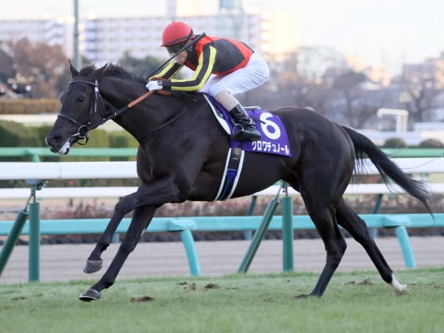 2025年競馬展望】クロワデュノール三冠への期待 - JRA平地GI全24