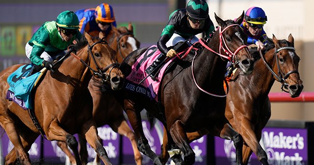 ラヴズオンリーユー　競馬　出資者限定　 ジャンパー ラヴズオンリーユー 競馬 出資者限定 ジャンパー