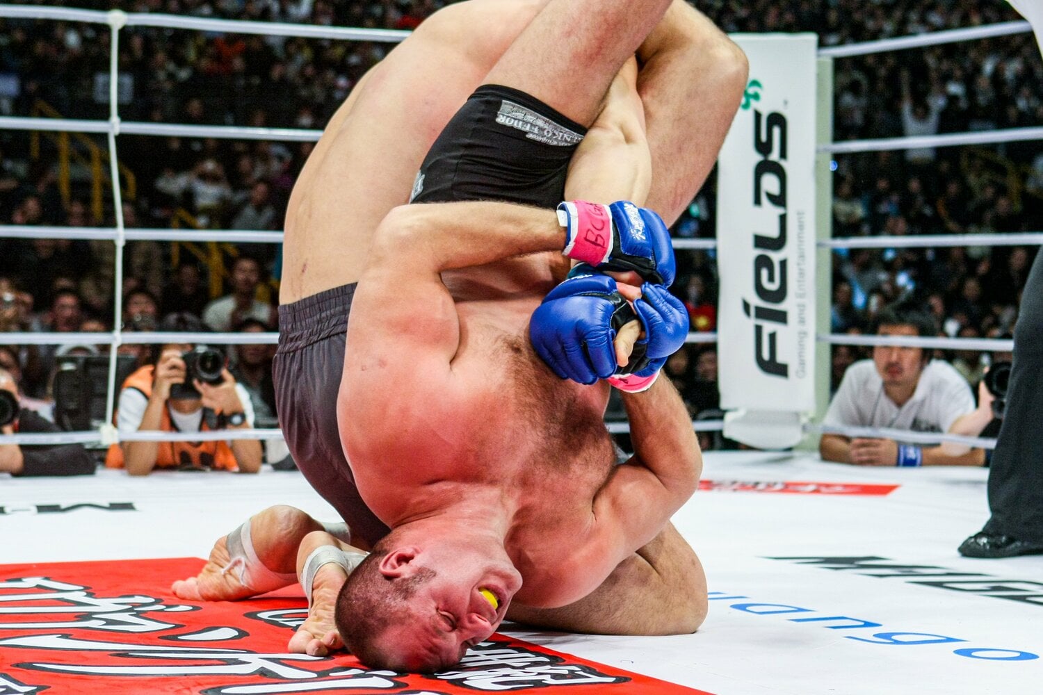 一夜かぎりのPRIDE復活祭となった「やれんのか! 大晦日! 2007」にも参戦。チェ・ホンマンを腕ひしぎ十字固めで一蹴し、PRIDEファンを歓喜させた