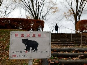 「しゃれにならない。そこらじゅうに出ているから」“クマ問題”がプロ野球のスカウト活動にも波及？ 強豪校の近くにも出没で「選手に負の影響が…」