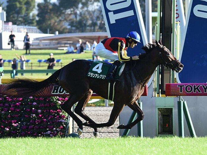 朝日杯FSを勝って2歳女王になる。大器グランアレグリアの大きな野望。<Number Web> photograph by NIKKAN SPORTS