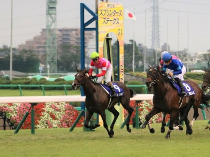 今週も大荒れ万馬券の予感が漂う?名物1000m直線重賞アイビスSD展望。<Number Web> photograph by Satoshi Hiramatsu