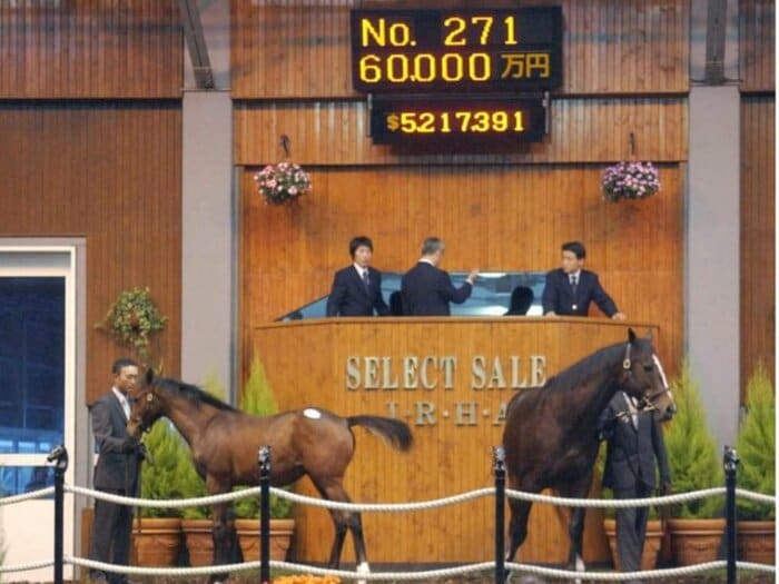 《セレクトセール》歴代1位は“6億円”だけど…高額馬たちの「意外なその後」今年最高額の更新は？＜Number Web＞ photograph by KYODO