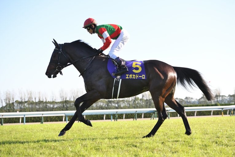 エポカドーロ（セレクトセールで3400万円で落札）　©BUNGEISHUNJU