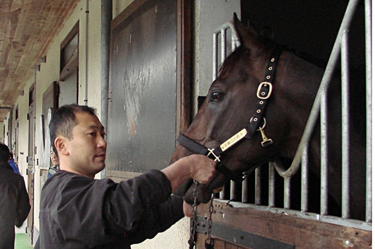 メイショウサムソン産駒