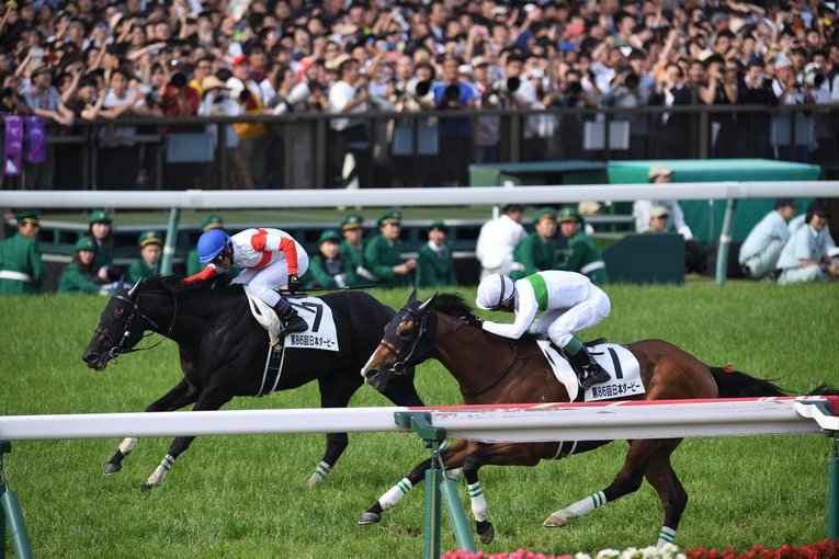 ロジャーバローズ（セレクトセールで7800万円で落札）　©BUNGEISHUNJU