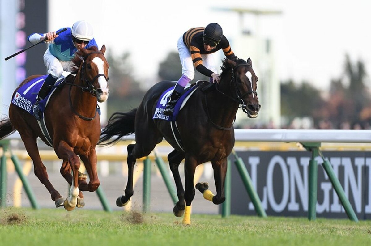 まねき馬 キタサンブラック J-170 天皇賞（春） 京都競馬場ベスト10