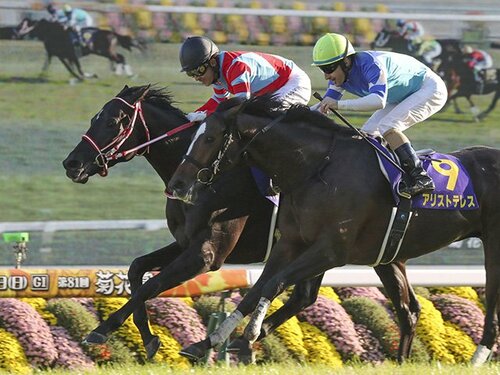 【競馬】コントレイル（2020年菊花賞）ミニゼッケン／JRA／福永祐一 競馬】コントレイル（菊花賞）ミニゼッケン／JRA京都競馬場／三