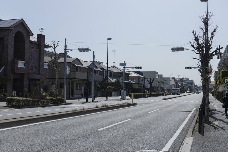 立派な通りの脇には邸宅が立ち並んでいた