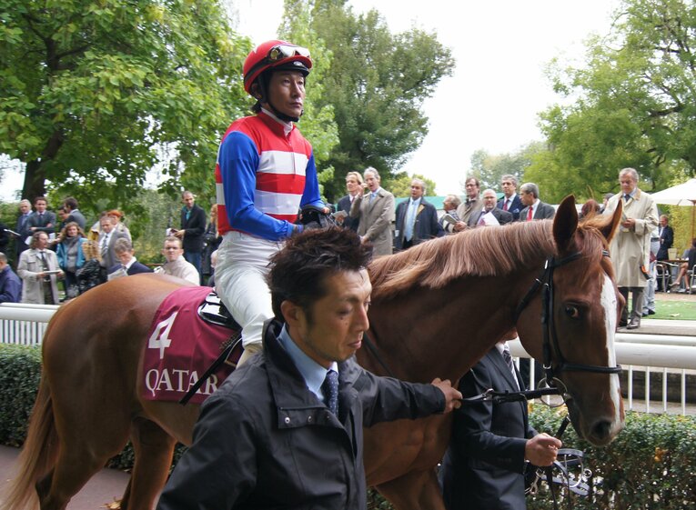 ナカヤマナイトに騎乗する柴田善臣騎手 ©Satoshi Hiramatsu