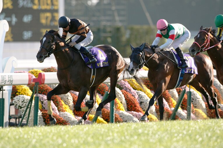 菊花賞で念願のGI制覇を成し遂げた　©AFLO