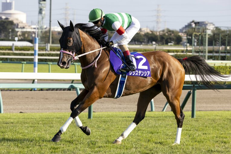 昨年のスプリンターズSでは2着。抜群の安定感を誇るレシステンシア　©Photostud