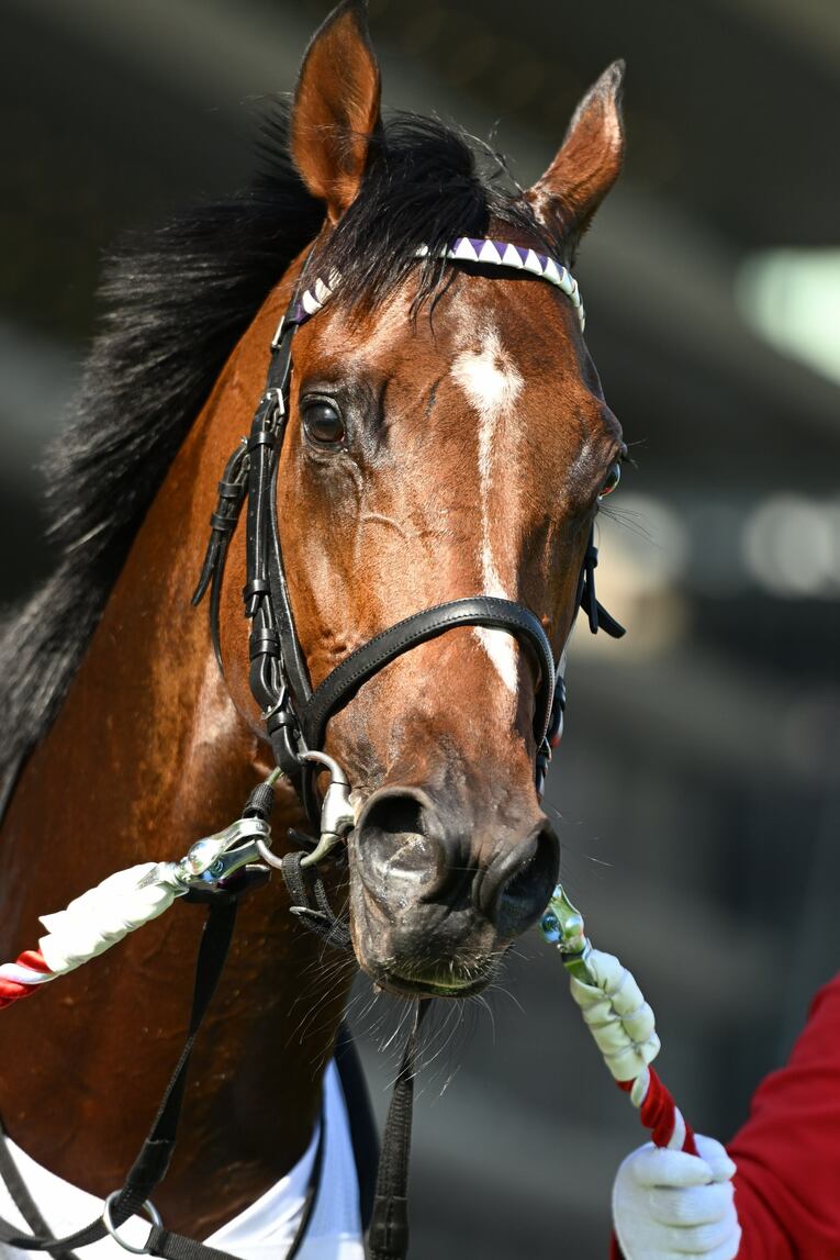 ドウデュースが制した2022年の日本ダービー　©Keiji Ishikawa