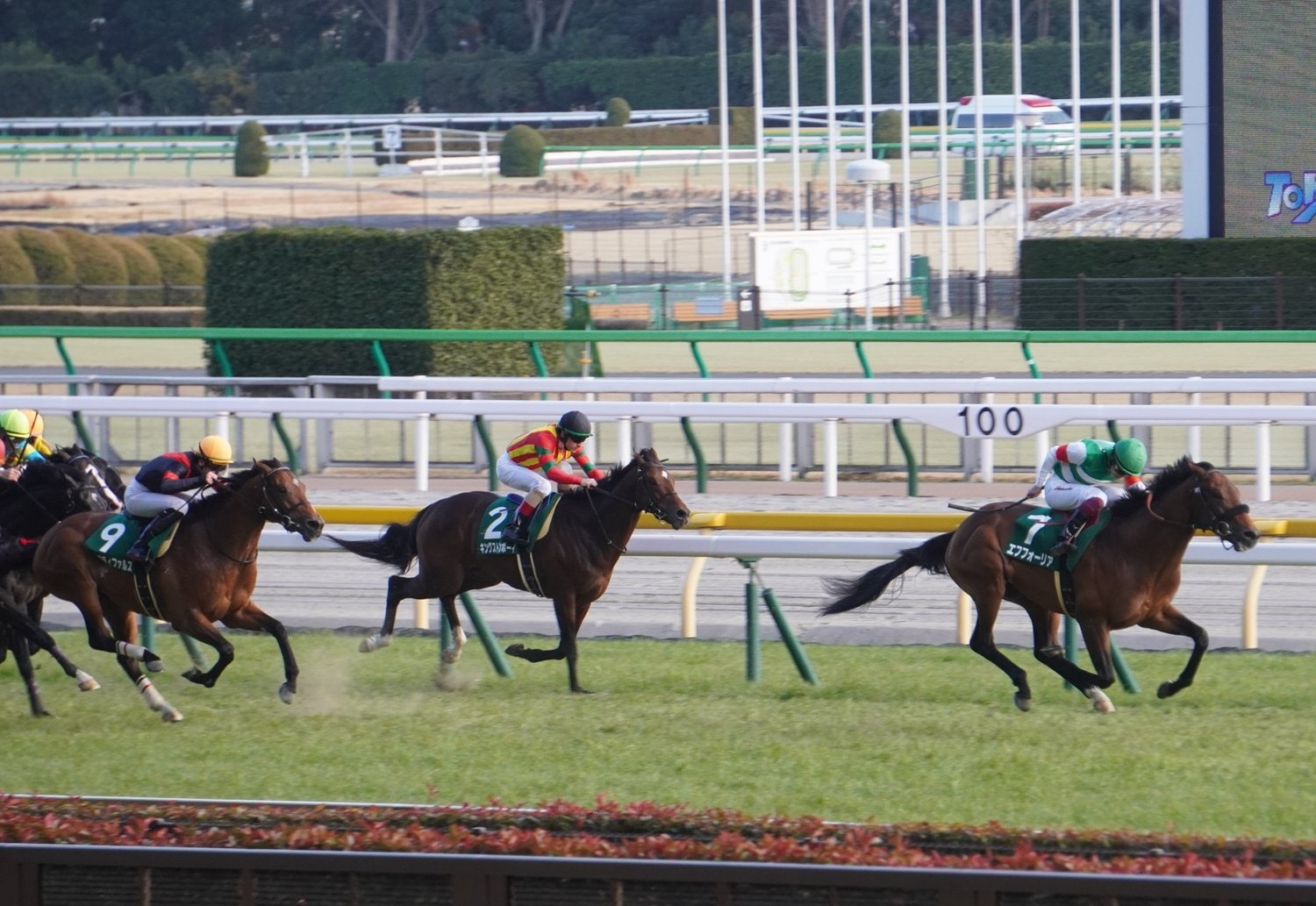 一頭抜けていた共同通信杯のエフフォーリア（右）