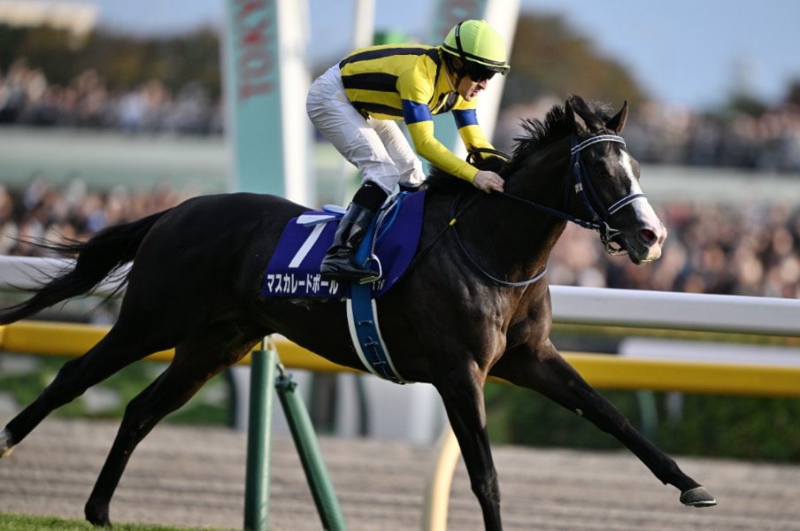名手ルメール「“あの最強馬”と同じフィーリング」“特殊な天皇賞・秋”を制したマスカレードボールは超逸材なのか？「まだ中高生」手塚調教師の証言＜Number Web＞ photograph by Keiji Ishikawa