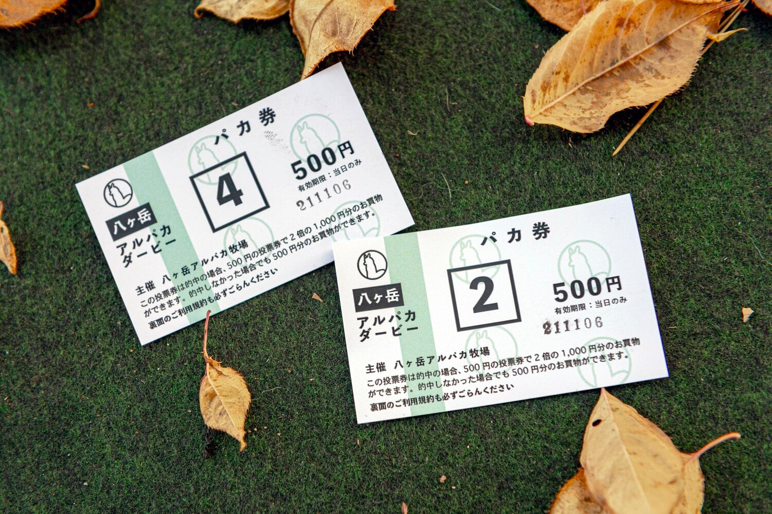 1枚500円の「パカ券」。ちびっこから大人まで、観客はこれを握りしめてダービーの発走を待つ